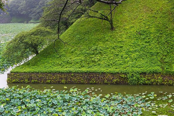 Su, Keren 아티스트의 Lotus pond in the Royal Palace-Tokyo-Japan작품입니다.
